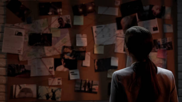 Lady private agent looking at crime investigation board, chasing serial killer Hollywood Private Investigator